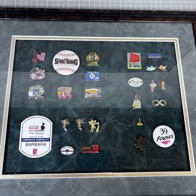 Pin Collection. Various! 