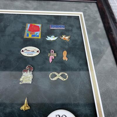Pin Collection. Various! 