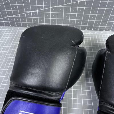 12 Ounce Sparring Gloves 
