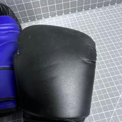 12 Ounce Sparring Gloves 