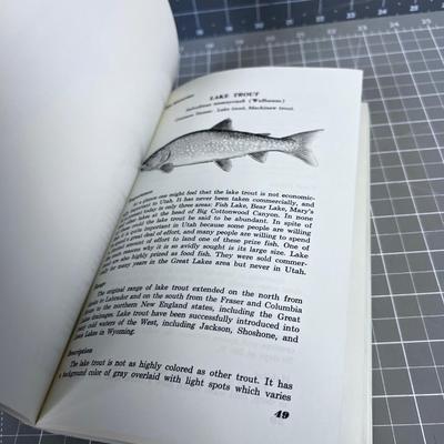 Fishes of UTAH Paperback BOOK