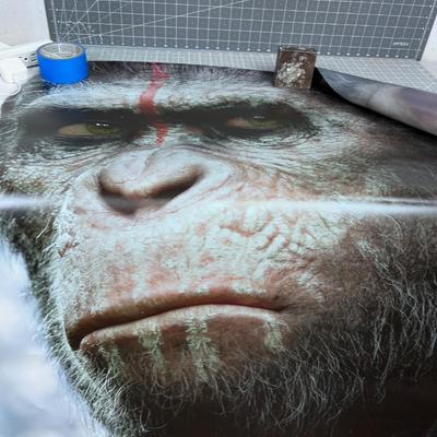 (2) DAWN OF THE PLANET OF THE APES Poster