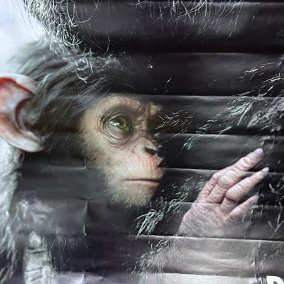 (2) DAWN OF THE PLANET OF THE APES Poster