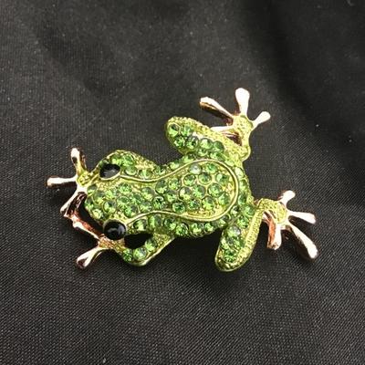 Cute frog brooch
