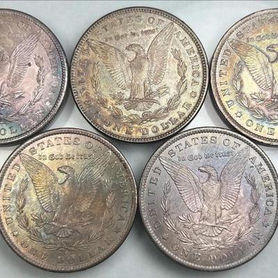 Lot of 5 Morgan silver dollars