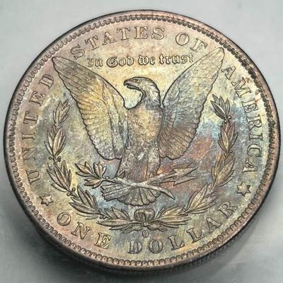 Lot of 5 Morgan silver dollars