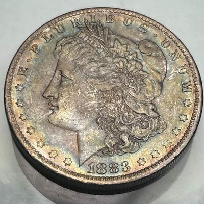 Lot of 5 Morgan silver dollars