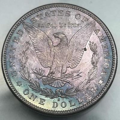 Lot of 5 Morgan silver dollars