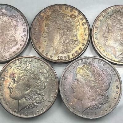 Lot of 5 Morgan silver dollars