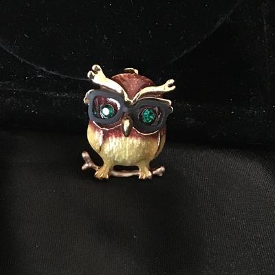 Owl with glasses pin