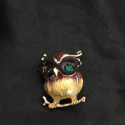Owl with glasses pin