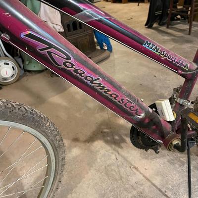 Ladies Roadmaster Mountain Bike