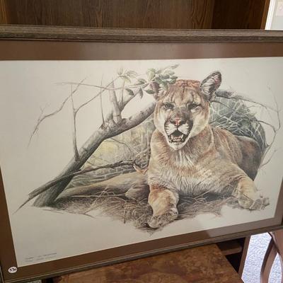 Framed "No Trespassing" Cougar Portrait Print, Signed Daniels and Numbered