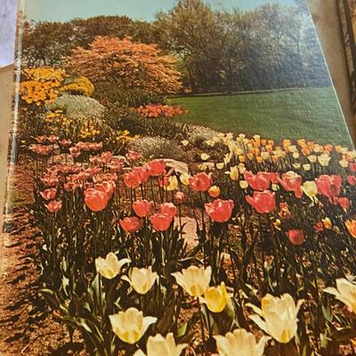 Complete Set of New Illustrated Encyclopedia of Gardening