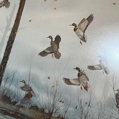 Waterfoul print