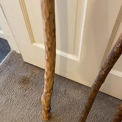 Three Walking Sticks