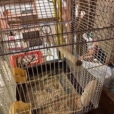 Bird Cage 1