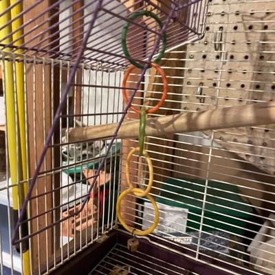 Bird Cage 1
