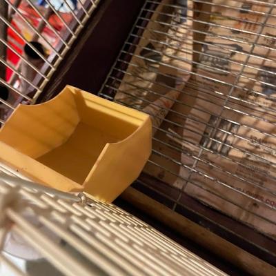 Bird Cage 1