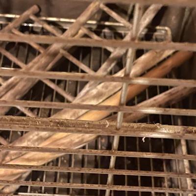 Bird Cage 2