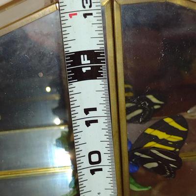 Collection of Nine Franklin Mint Butterfly Figurines with Glass and Brass Display