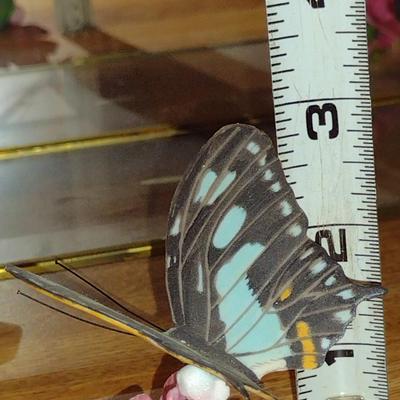 Collection of Nine Franklin Mint Butterfly Figurines with Glass and Brass Display