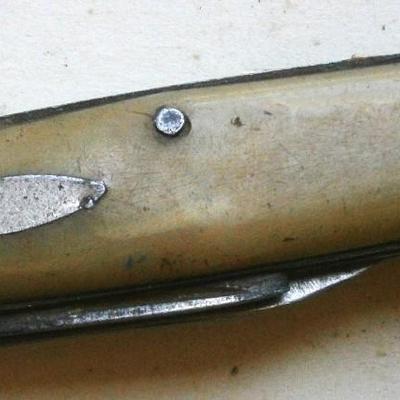 Antique Pocket Knife with Horn Handle