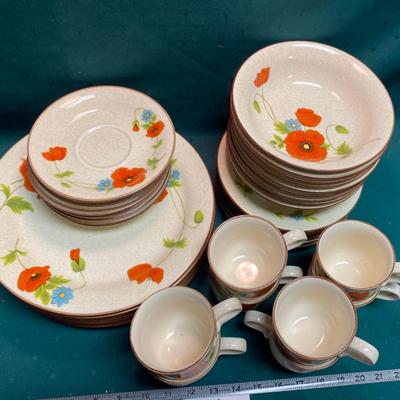 Mikasa Poppy Parade Set