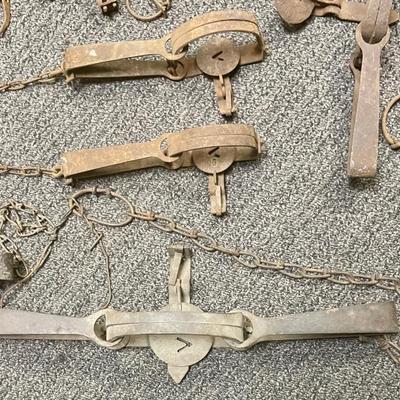 Antique Vintage Animal Traps