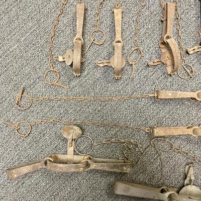 Antique Vintage Animal Traps