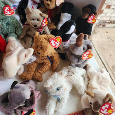TY beanie babies lot
