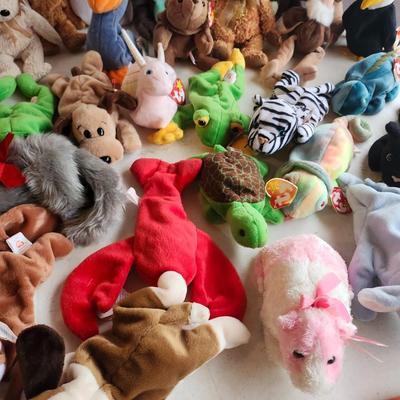 TY beanie babies lot