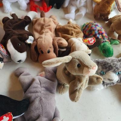 TY beanie babies lot