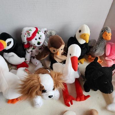 TY beanie babies lot