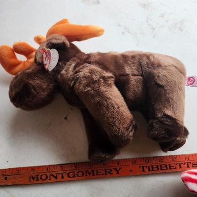 TY 1999 Beanie Buddies Spangle and "Chocolate" the Moose