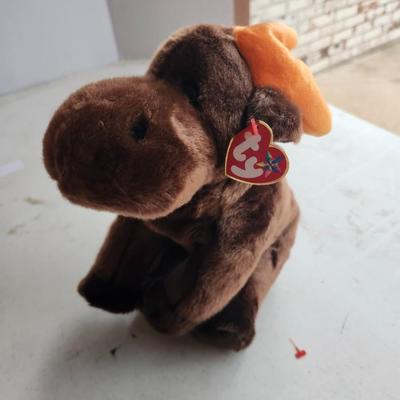 TY 1999 Beanie Buddies Spangle and "Chocolate" the Moose