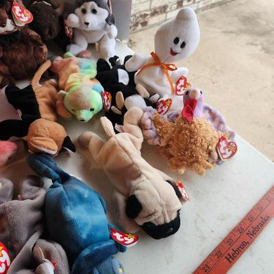 TY beanie babies lot