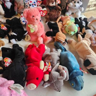 TY beanie babies lot