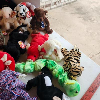 TY beanie babies lot
