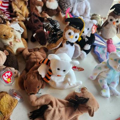 TY beanie babies lot