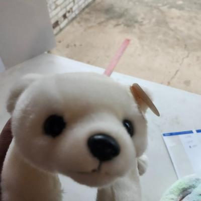 TY The Beanie Buddies Groovy the Bear and Chilly Polar Bear