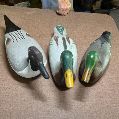 Lot of 3 Duck decoys #1