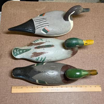 Lot of 3 Duck decoys #1