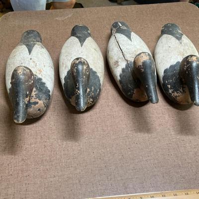 Lot of 4 matching Black & White Decoys