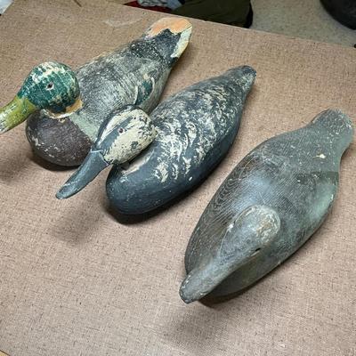 3 Old Wood Duck Decoys