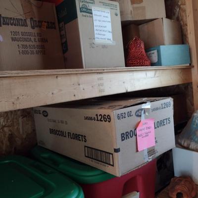 Collection of Seasonal/Holiday Decor