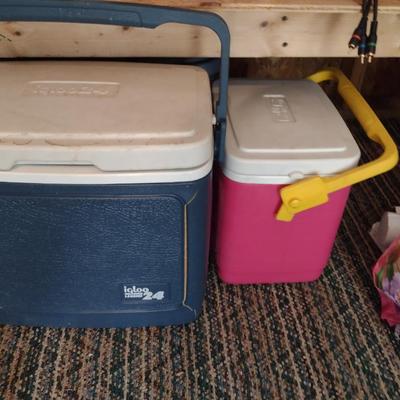 Collection of Household Goods- Light Bulbs, Lawn and Garden Solutions, Coolers, Home Repair Items, etc