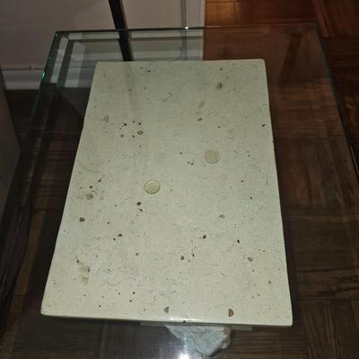 Rare Fossil Stone Shell Side Table