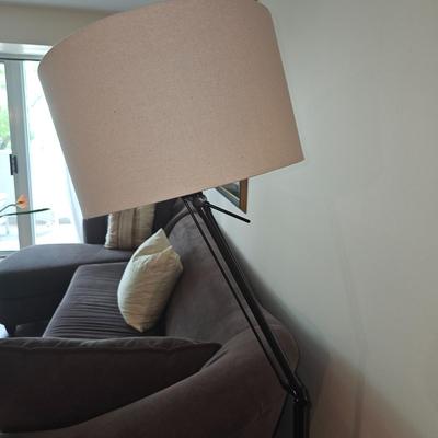 Rawson Oil Rubbed Bronze Adjustable Floor Lamp