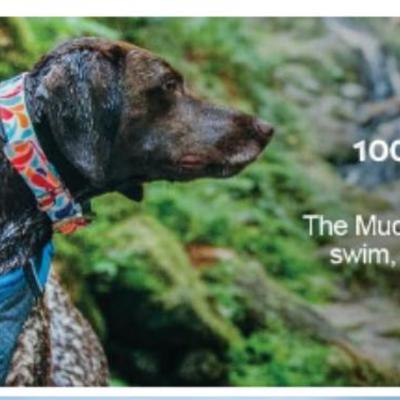 NWT Kurgo Waterproof Odorless Muck Collar for Dogs with Bottle Opener RED MEDIUM